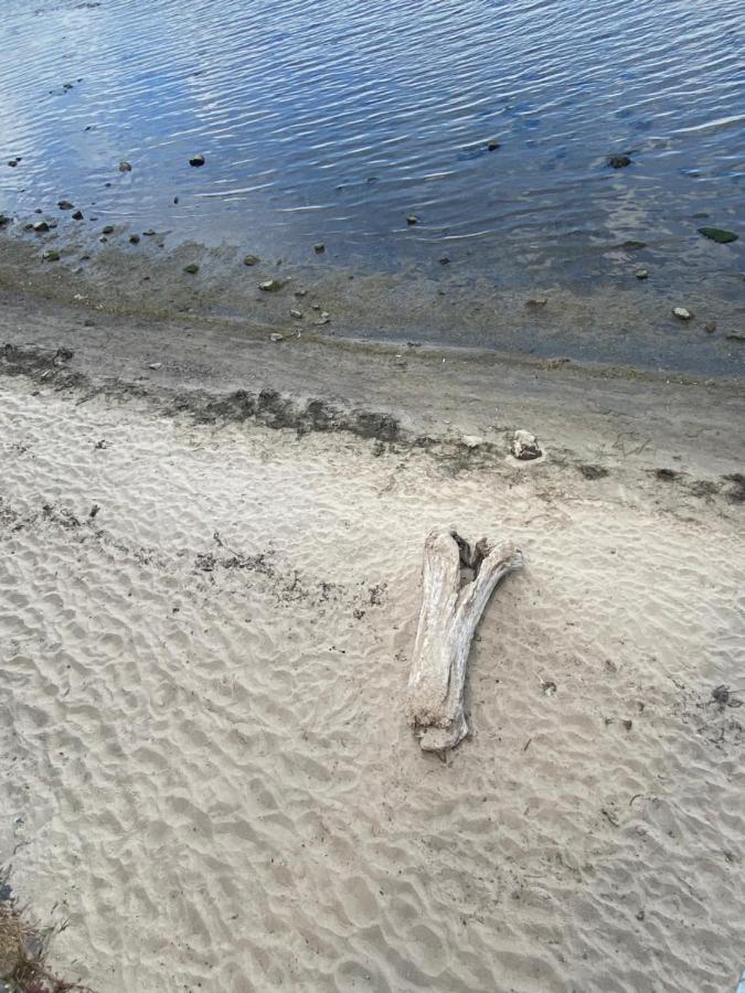 Hanseseele Wißmar Exteriér fotografie